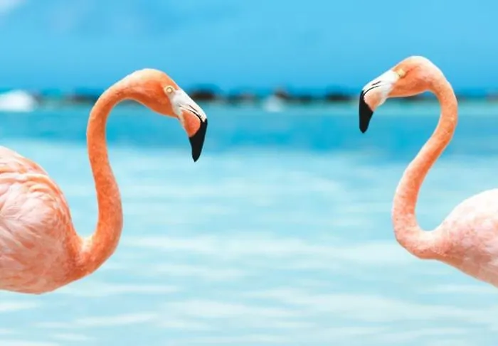 Luxury With Pool 1st Line The Sea *